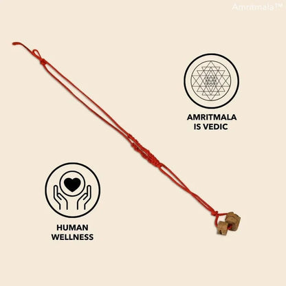 AMRITMALA PURE HERB